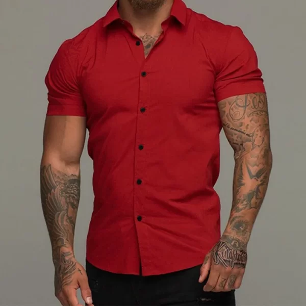 Men Slim Blouse Shirts Summer Casual Male Turn Down Collar Short Sleeve Button Tops LXDZ-110 - Image 2
