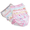 6PCS/Lot Kids Underwear Baby Girls Panties Cotton Floral Print Toddlers Shorts Briefs Cute Kid Panties Children's Underpants